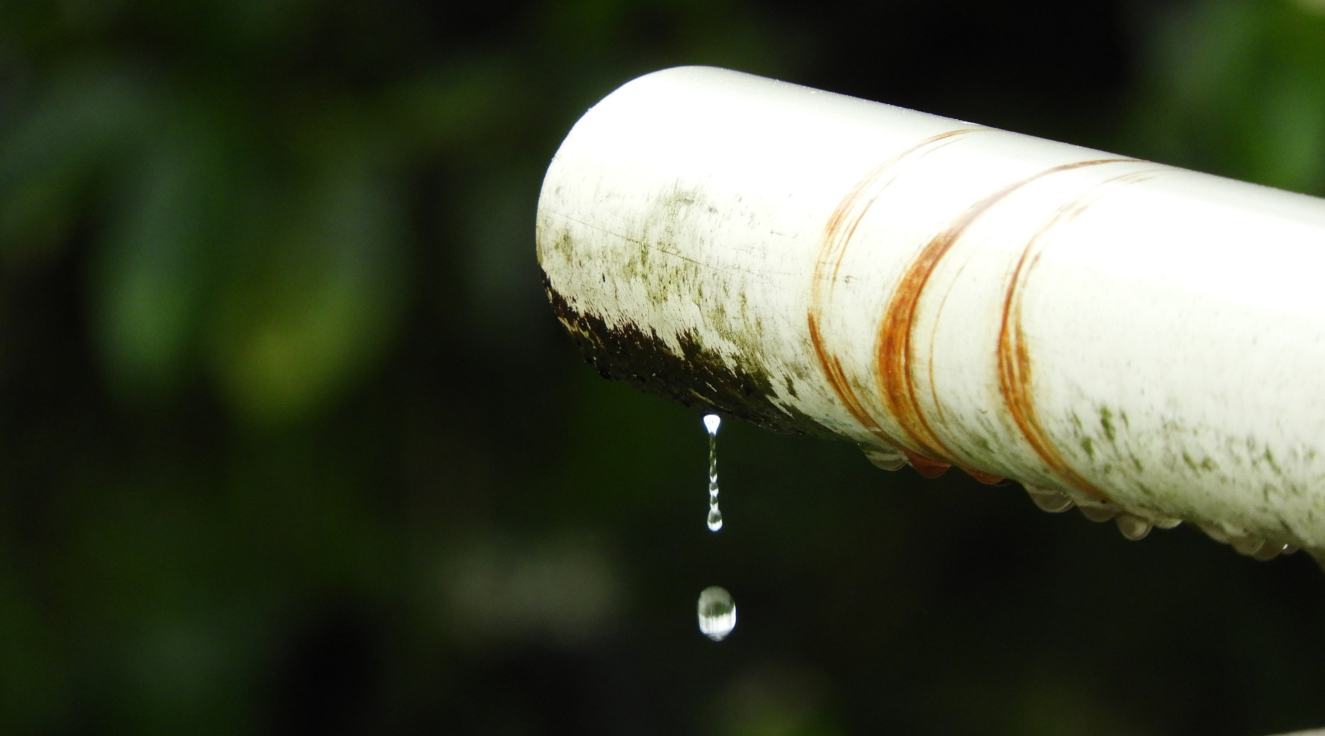 Charlotte Professional Leak Detection Equipment