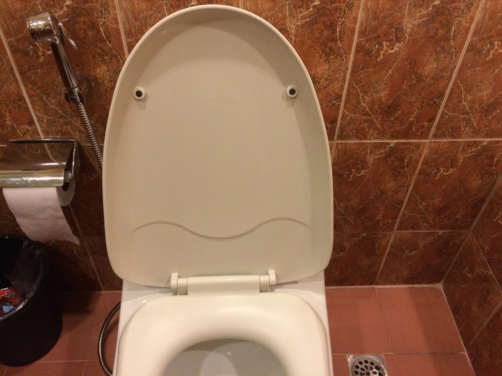 can i flush flushable wipes down the toilet