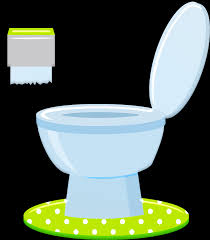 How to choose a toilet
