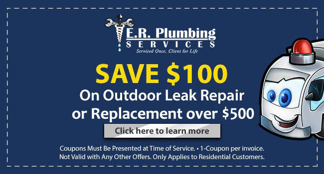 home-coupon-1