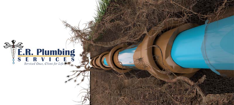 3D Image 4