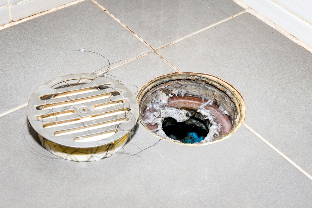drain cleaning